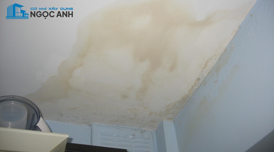 Hiện tượng thấm dột tường và trần nhà ở